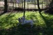 Marley 20.03.2014 054.JPG
